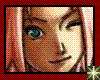 Sakura~This Time...