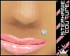 *Sc* Diamond Monroe Stud