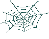 Spider3