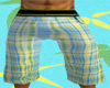 *CA* Summer Shorts 1