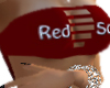 Boston Red Sox Girl2