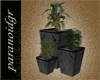 G-Plant Composition