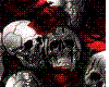 roses and skulls