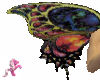Butterfly Wings