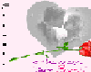 [Sar]kiss say ur special