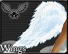 [Aluci] Blu Fuzzy Wings
