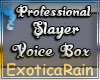 (E)Request Slayer Voice