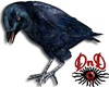 Pet Crow