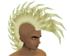 Golden Male PowerHawk
