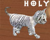 Baby White Tiger