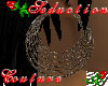 Wild Seduction Earrings