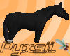 Black Horse (pet)