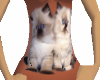 MommaAshleyCat