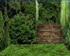 Rainforest room