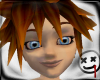 Light Brown Sora