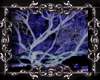~FM~ Seabeast Yin Tail
