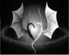 Dragons touch
