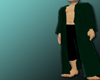 Green Long Coat