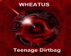 wheatus teenage dirtbag