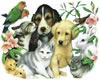 Animals