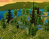 Alien Fun Island!