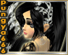 [A]PY Aima Black D*