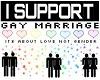 I support Gay Marriage