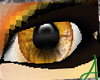 ^Halloween spooky eyes^
