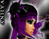 [V4NY] !Aniiya! BkPurple
