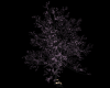 [cd]Fantasy tree