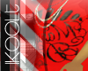 +.Ikt.+manifest destiny