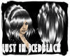 SYN-Lust-IcedBlack