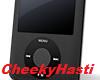 iPod