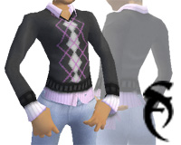 Blouse and Black Pullove