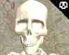 THE BEST Skeleton