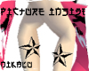 [N] Nautica Star Tatoos