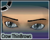 >KD< Crow ThinBrows