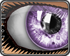 *L� iGlass Grape