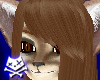 Fennec Kimiko Bangs