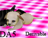 (A) Pet Puppy