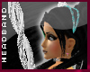 [V4NY] HBand DiamPlat