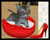 kitten british shorthair