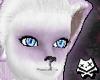 Berry Pockitty Set