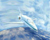 Airplane with Animation
