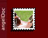 aD; western tack3