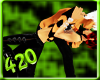 420 Gotcha Cple Pose