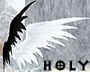 Light & Dark Soft Wing F