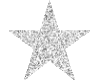 Silver Star