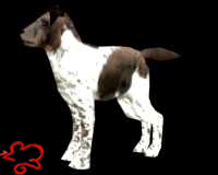 Emo Puppy
