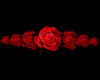 group of roses